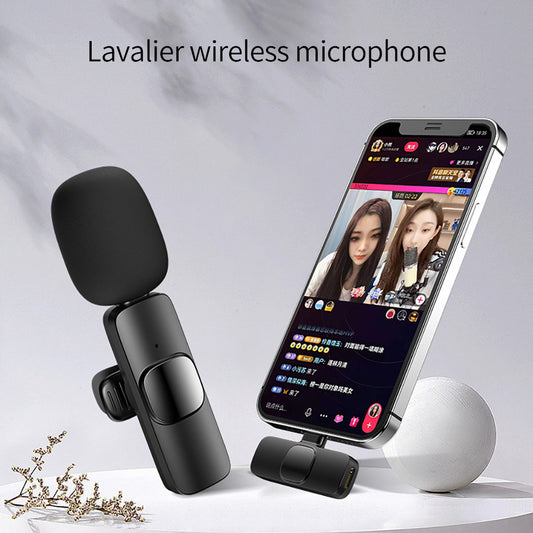 Portable Audio Video Recording Mini Mic - My Store